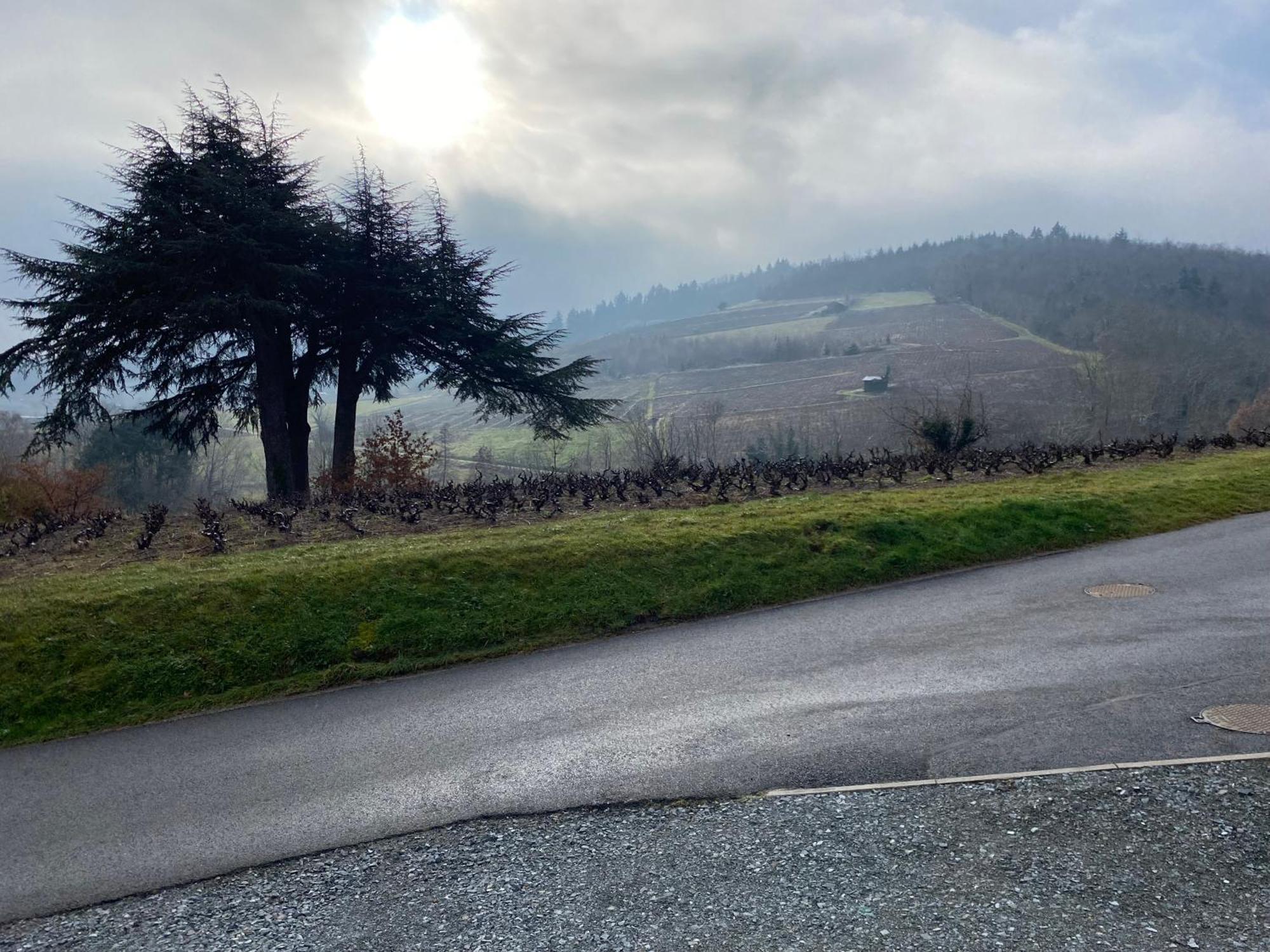 Le Bouchon De Liege Villa Beaujeu  Buitenkant foto